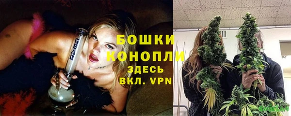мет Няндома