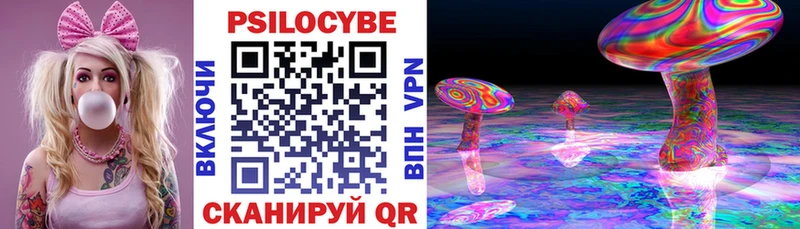 Псилоцибиновые грибы Psilocybine cubensis  Петропавловск-Камчатский 