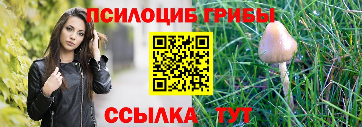 Псилоцибиновые грибы MAGIC MUSHROOMS  Петропавловск-Камчатский  Галлюциногенные грибы мицелий 