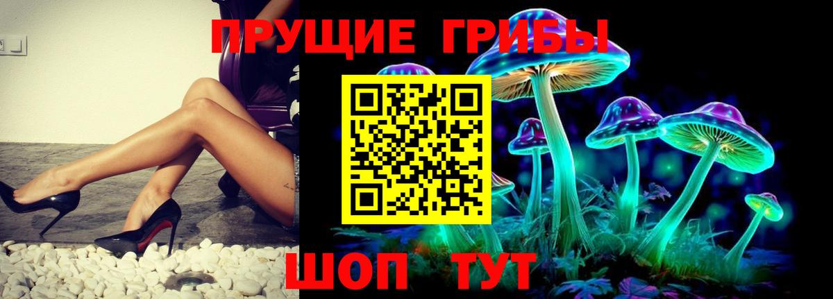 Галлюциногенные грибы Psilocybine cubensis Петропавловск-Камчатский