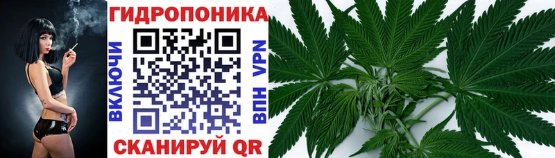 где продают   Петропавловск-Камчатский  Шишки марихуана SATIVA & INDICA 